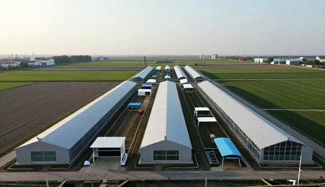 技术速览：技术转让全流程跟进服务重点整理